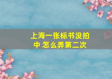 上海一张标书没拍中 怎么弄第二次